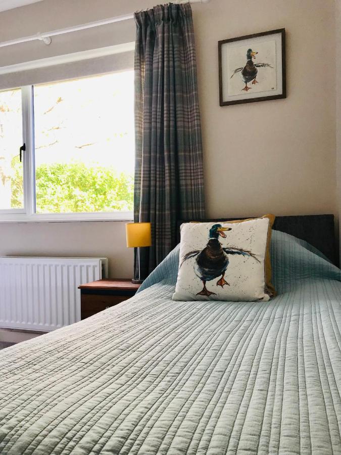 Eden Cottage Lisburn Esterno foto